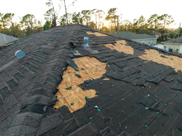 Best Storm Damage Roof Repair  in USA